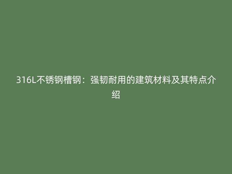 316L不銹鋼槽鋼：強韌耐用的建筑材料及其特點介紹