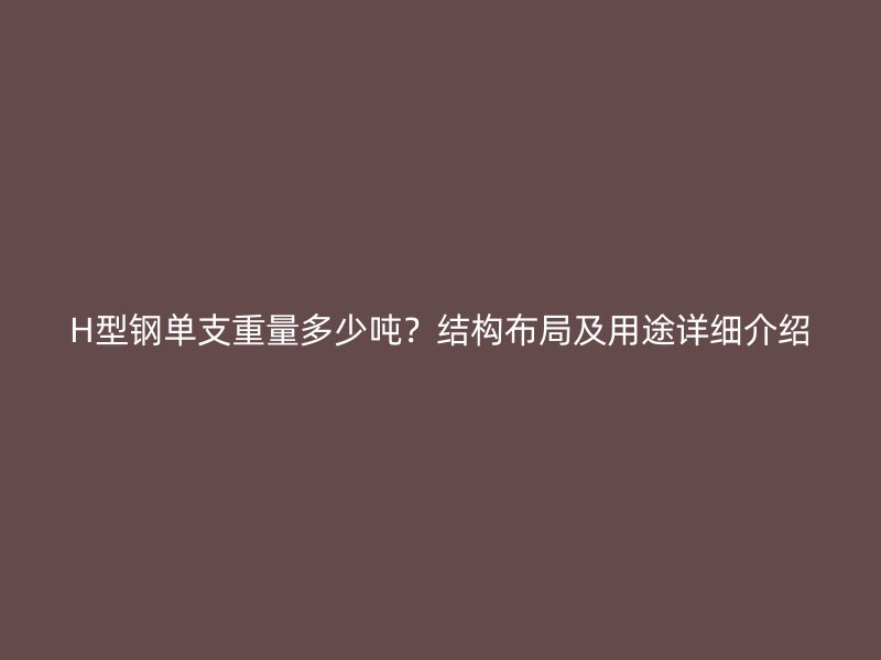 H型鋼單支重量多少噸？結(jié)構(gòu)布局及用途詳細(xì)介紹