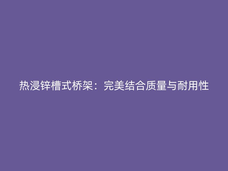 熱浸鋅槽式橋架：完美結合質量與耐用性