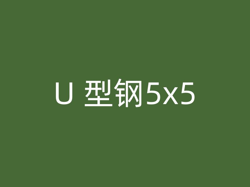 U 型鋼5x5